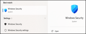 Windows Security