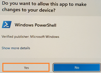 Administrator: PowerShell